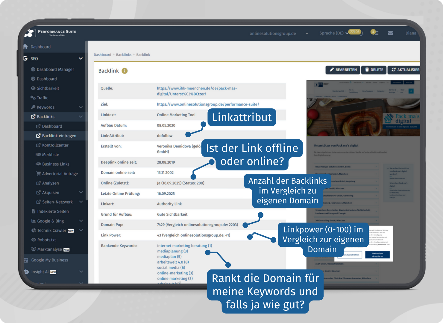 Details zu jedem Backlink in der Performance Suite