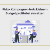 PMax Kampagnen trotz kleinem Budget profitabel einsetzen