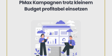 PMax Kampagnen trotz kleinem Budget profitabel einsetzen